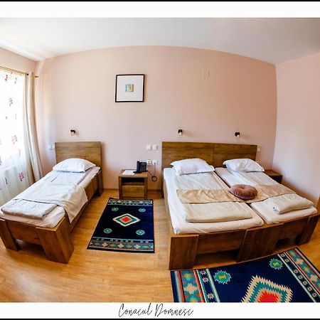Hotel Conacul Domnesc Scheia Exteriér fotografie