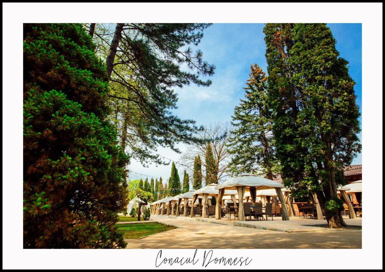 Hotel Conacul Domnesc Scheia Exteriér fotografie
