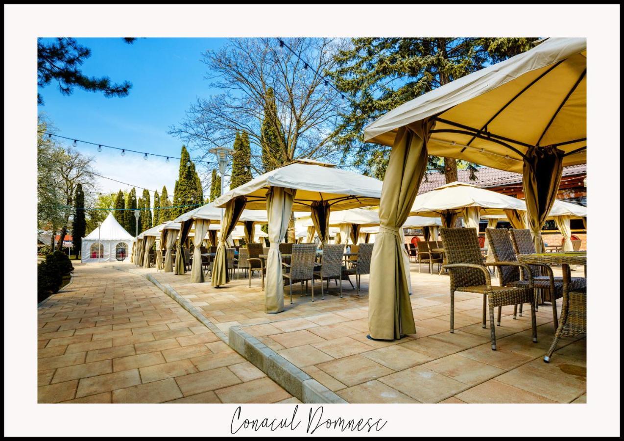 Hotel Conacul Domnesc Scheia Exteriér fotografie