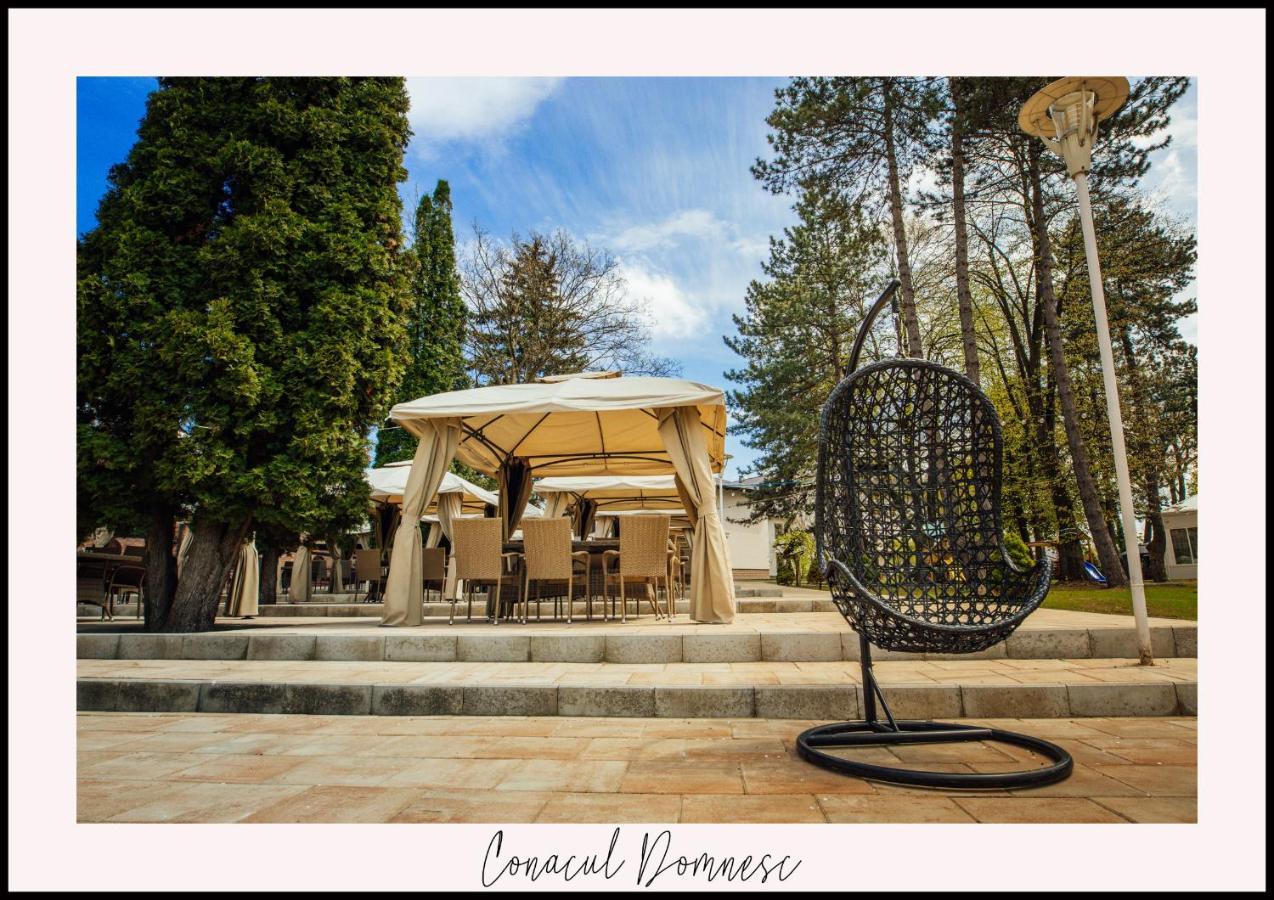 Hotel Conacul Domnesc Scheia Exteriér fotografie