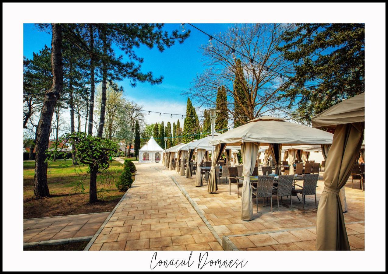 Hotel Conacul Domnesc Scheia Exteriér fotografie