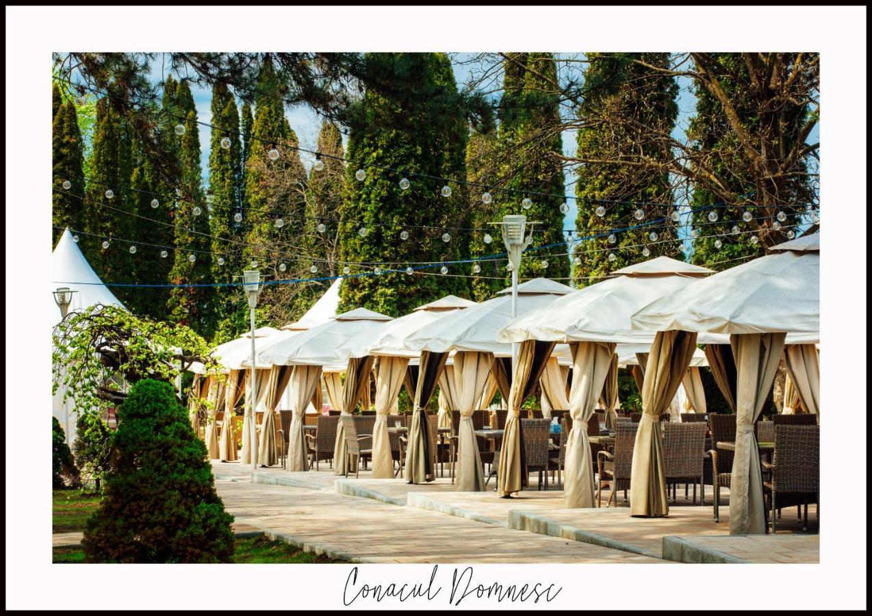 Hotel Conacul Domnesc Scheia Exteriér fotografie